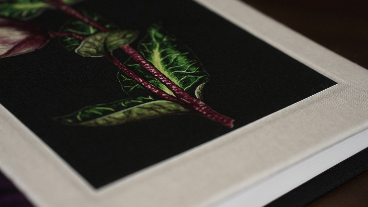Hellebore Journal