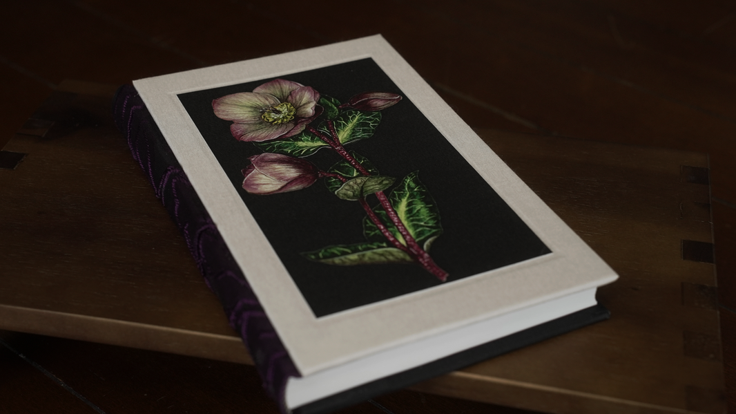 Hellebore Journal