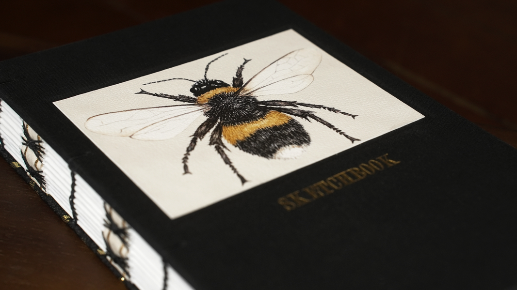 Bumblebee Sketchbook