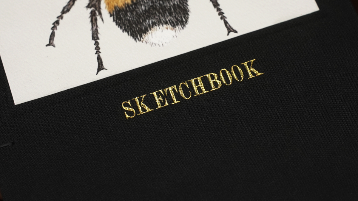 Bumblebee Sketchbook