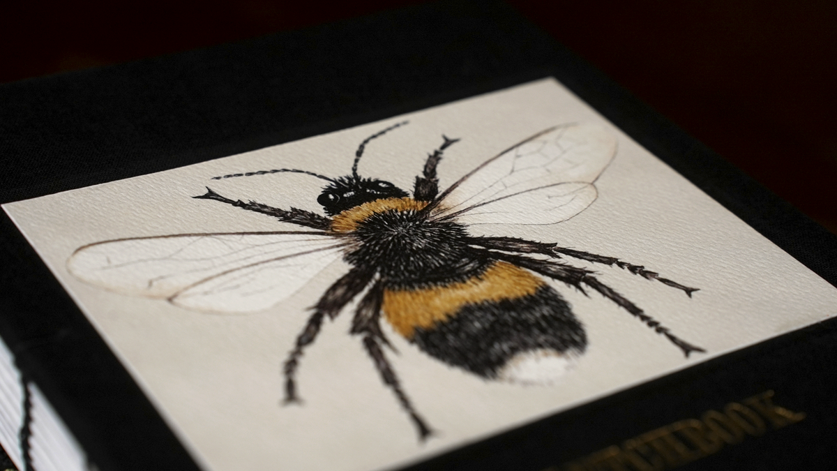 Bumblebee Sketchbook