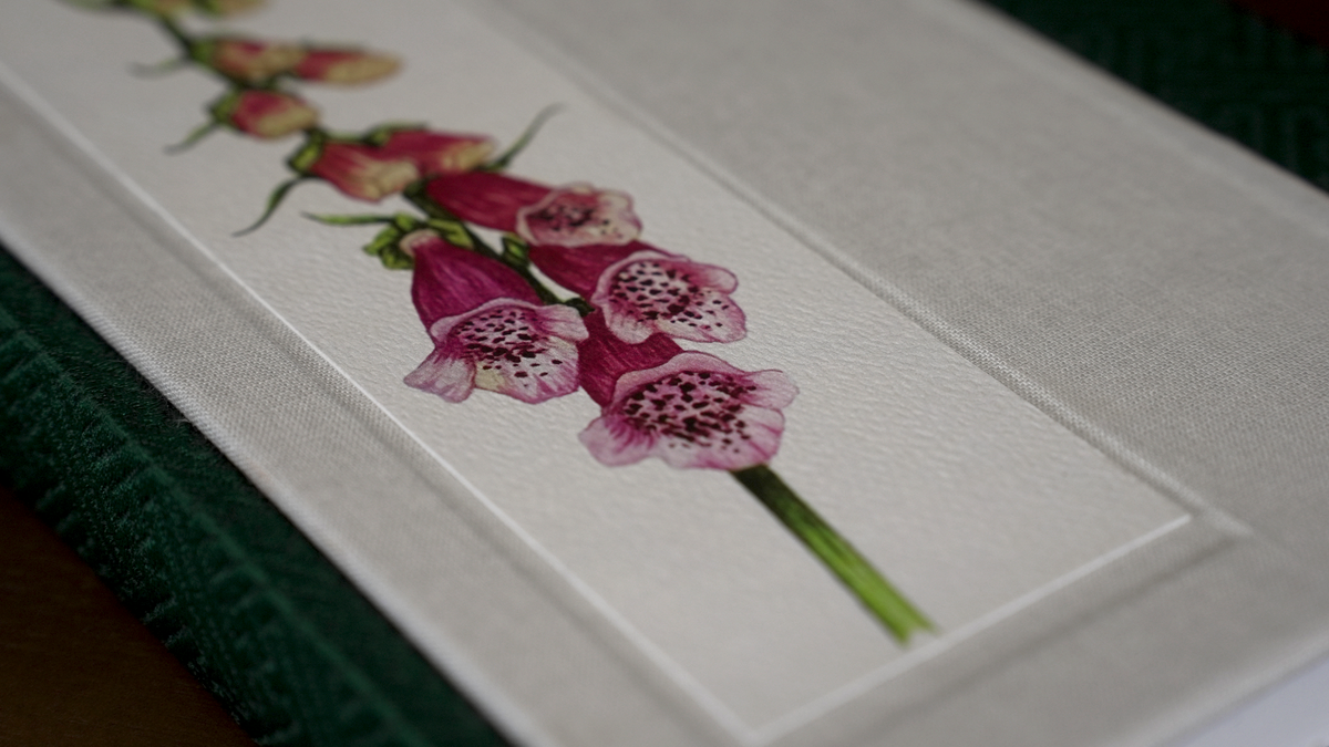 Foxglove Journal