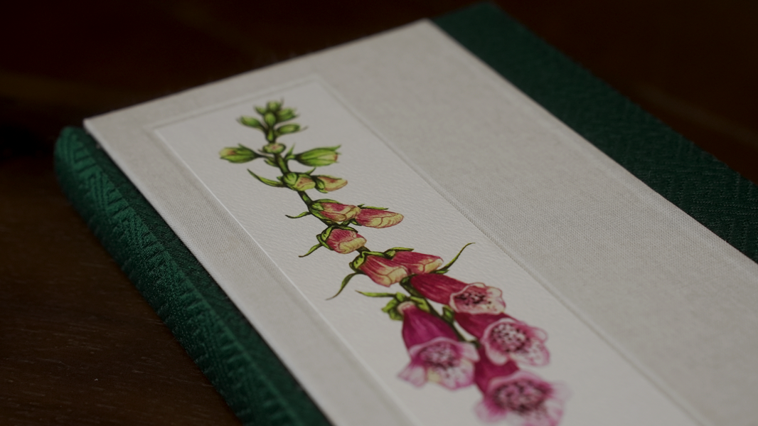 Foxglove Journal