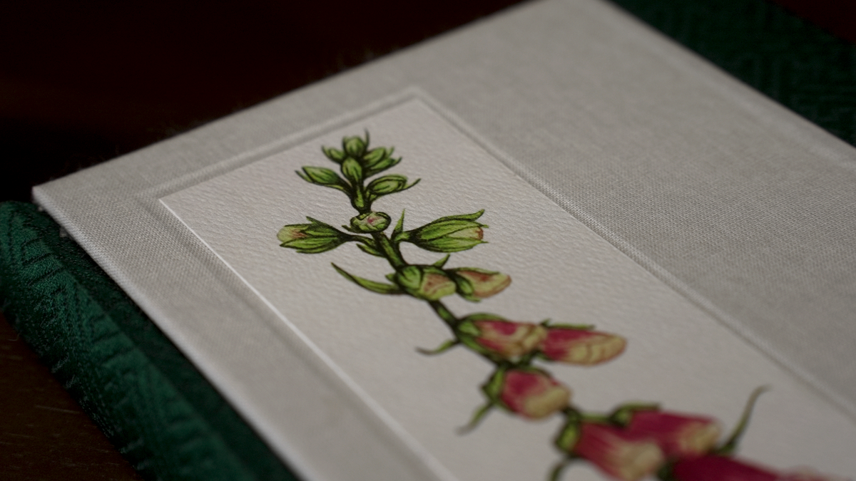 Foxglove Journal