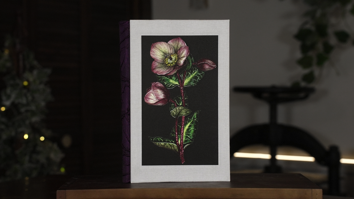 Hellebore Journal