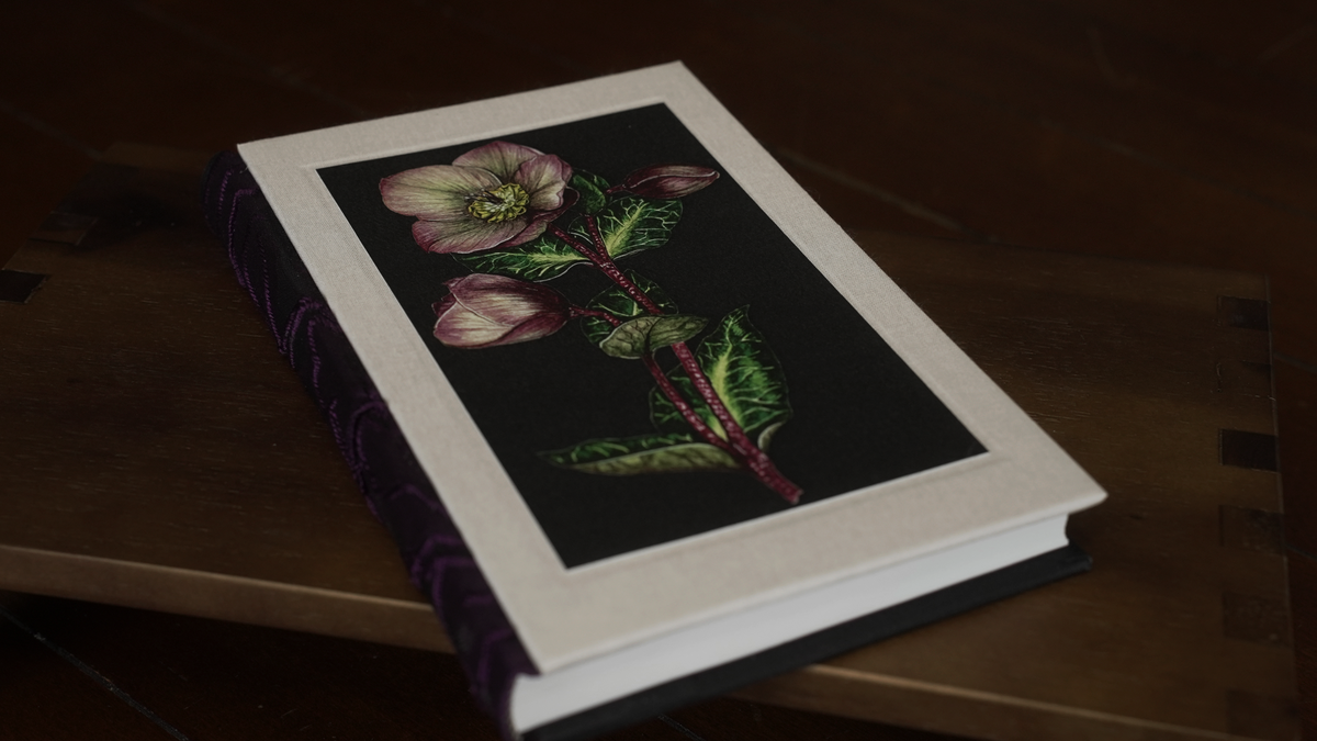 Hellebore Journal