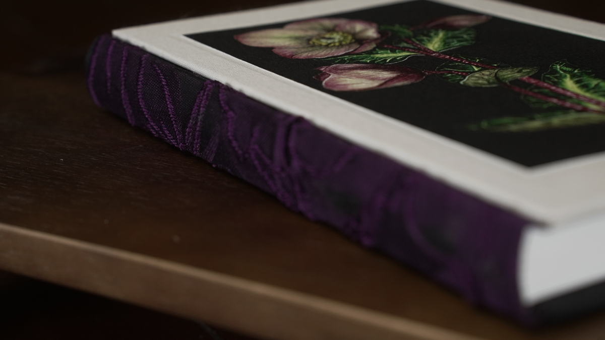 Hellebore Journal